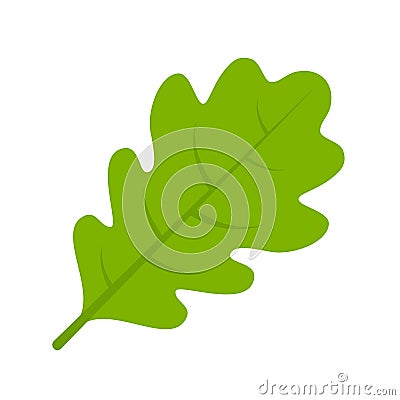 Green oak leaf vector illustration Vector Illustration