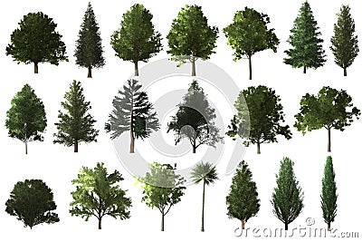 tree set for architecture landscape design Stock Photo