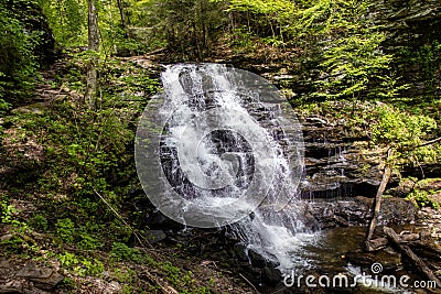 Green Oasis: A Side View of a Majestic Pennsylvania Waterfall with Verdant Trees and Logs Stock Photo