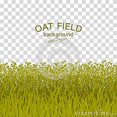 Green oat field on checkered background Vector Illustration