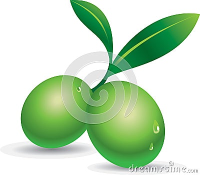 Green Olive Vector Illustration