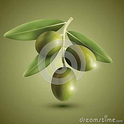 Green olive branches Vector Illustration