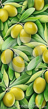 Green olives Stock Photo