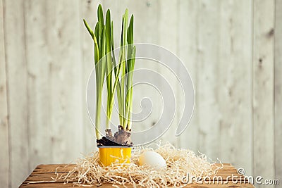 Green onion bulb in pot and white eggs Stock Photo