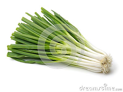 Green onion Stock Photo