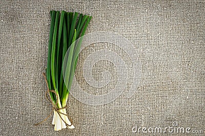 Green onion on sacking Stock Photo