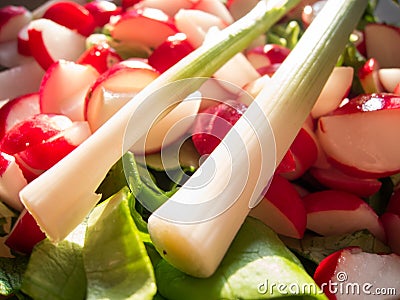 Green onions and radishes salad Stock Photo