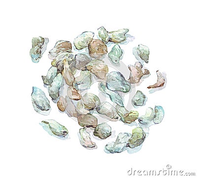 Green oolong heap watercolor art Stock Photo