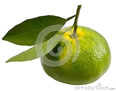 Green orange Stock Photo