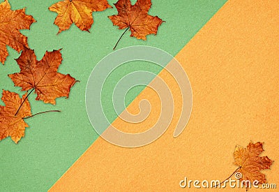 Green and orange papers and dry autumn leaves in geometic layout Stock Photo