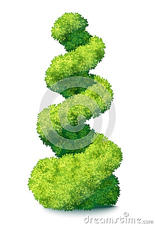 Green Ornamental Bush Vector Illustration