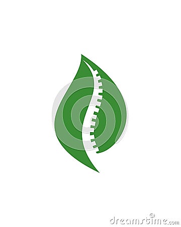 Green orthopaedic logo , nature spine vector logo Stock Photo