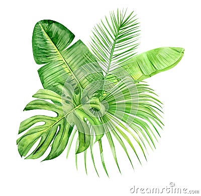 Green palm leaves bouquet. Tropical plant. Hand painted watercolor illustration isolated on white background. Realistic botanical Cartoon Illustration