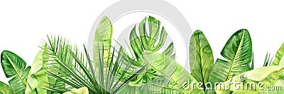 Green palm leaves and flowers banner. Tropical plant. Hand painted watercolor illustration isolated on white background. Realistic Cartoon Illustration