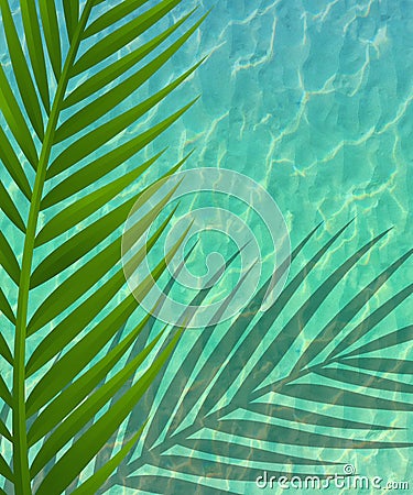 Green Palm Shadow on Pool Stock Photo