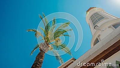 Green palm tree`s leaf beside lighthouse against sky background. View from down to up Stock Photo