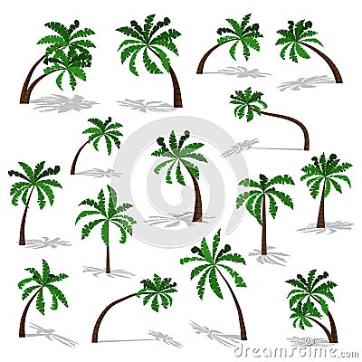 Green palm trees set with shadow isolated on white background Vector Illustration