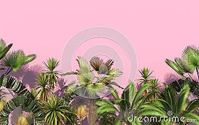 Green palm trees and tropical exotic plants on a pink background with copy space. Conceptual creative illustration. 3D rendering Cartoon Illustration