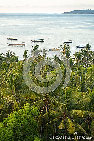 Boats sailing in tropical bay stock photo Stock Photo