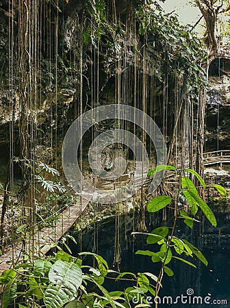 Green paradise and grotto in cenote Xâ€™canche Yucatan Peninsula Stock Photo