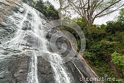 Green paradise in Sri Lanka Stock Photo