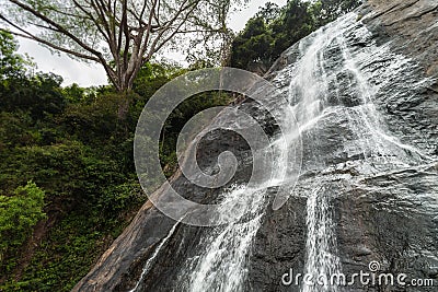 Green paradise in Sri Lanka Stock Photo