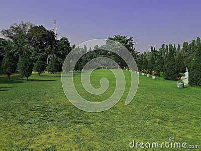 Green park in a city. Stock Photo