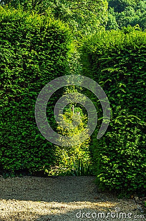 Green park, freshly cut vegetation, well maintained park, walking path, relax in the garden Stock Photo