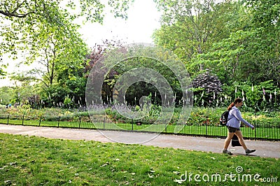 Green Park, is one of the Royal Parks of London. It is located in the City of Westminster, Central London. Editorial Stock Photo