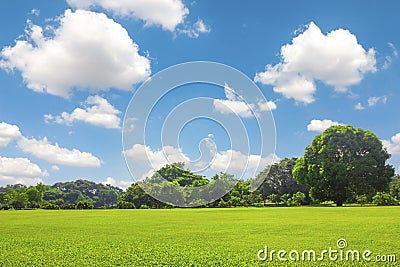 Green park outdoor with blue sky cloud Stock Photo