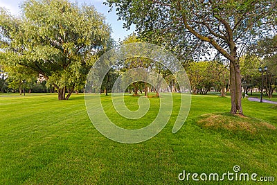 Green Park with trees and lawn near the entertainment center Island of dreams in Moscow Stock Photo