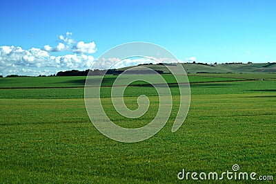 Green Pasture in England Stock Photo