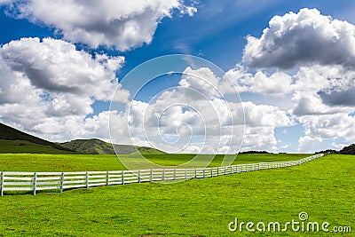 Green Pasture With White Fence Stock Photo