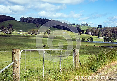 Green pastures Stock Photo