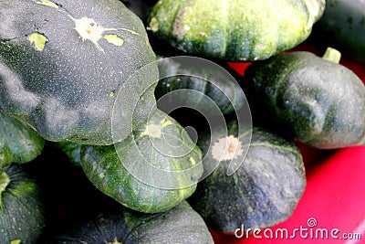 Green patty pan squash, Cucurbita pepo Stock Photo