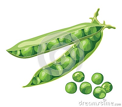 Green pea beans, vector Vector Illustration