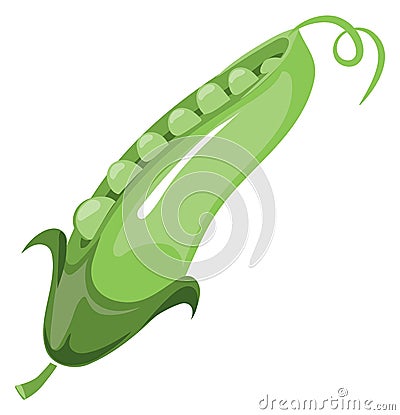 Green pea pot. Cartoon vegetable fresh icon Vector Illustration