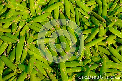 Green peas Stock Photo