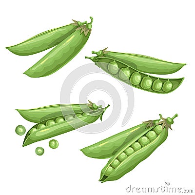 Green peas set. Eco farm fresh food. Sweet green pea pods collection. Closed and open. Vector illustrations Vector Illustration