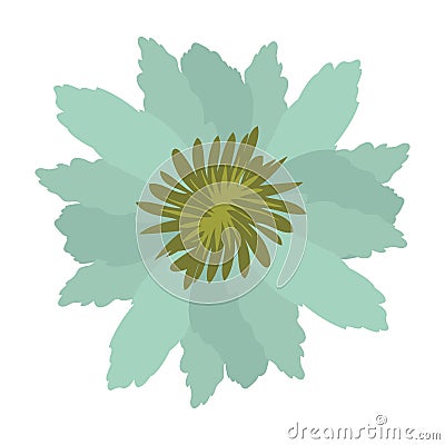 Green petals of flower with sepal Vector Illustration