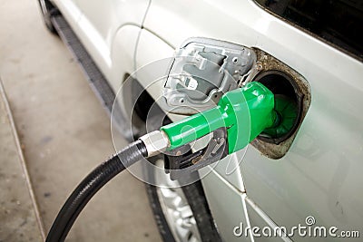 Green petrol hose filling car Stock Photo