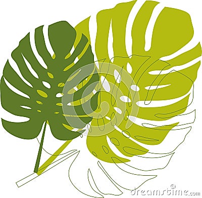 Green philodendron leaves Vector Illustration