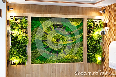 Green phytowall with a clock in the living room Stock Photo