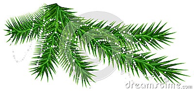 Green pine fir branch and rare snow snowflake Vector Illustration