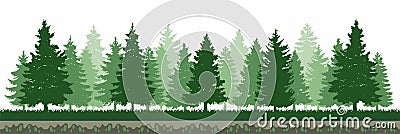 Pine Tree Forest Environment Vector Illustration