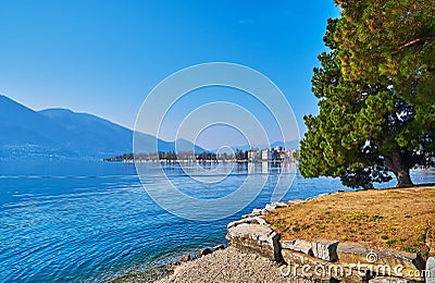 Green pines on embankment of Lake Maggiore, Locarno, Switzerland Stock Photo