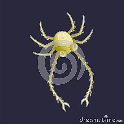 Green Plankton Water Organism Free Floating on Dark Background Vector Illustration Vector Illustration