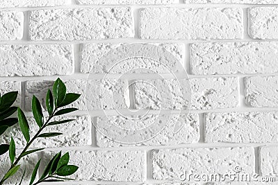 Green plant branch on white brick wall modern home interior design background Stock Photo