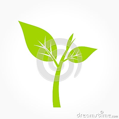 Green plant icon Vector Illustration