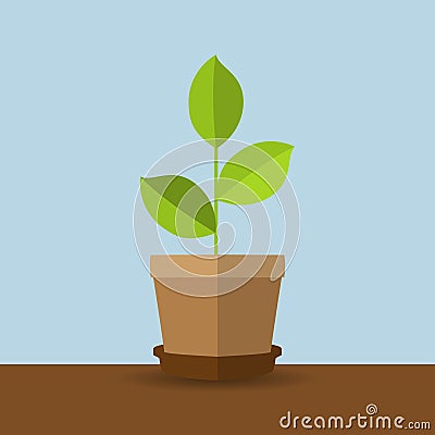 Green plant in a pot with a shadow in a flat design Vector Illustration